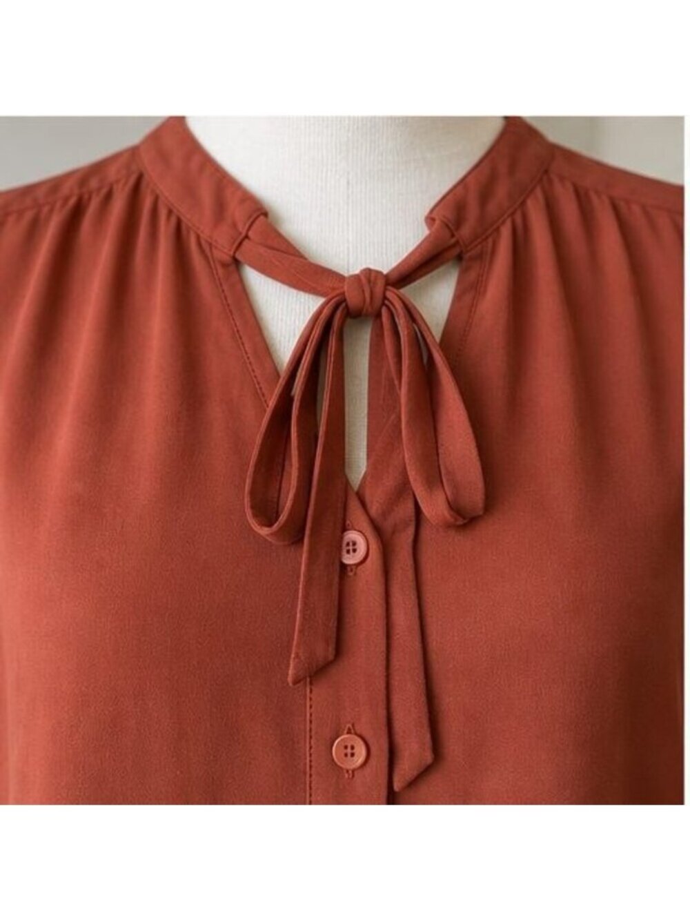 Rust Puff Sleeve Top - Picture 4 of 6